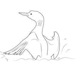 Loon Drying His Wings Free Coloring Page for Kids