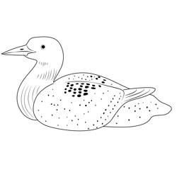 Loon Watch Free Coloring Page for Kids