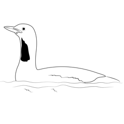 Red Throated Loon Free Coloring Page for Kids