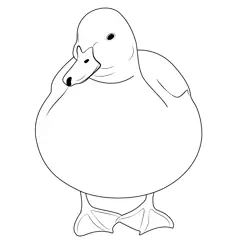 A Beautiful Duck Resting Free Coloring Page for Kids