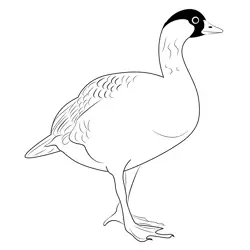 Adult Nene Free Coloring Page for Kids