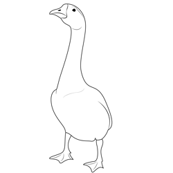Beautiful Duck Free Coloring Page for Kids