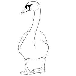 Black Headed Duck Free Coloring Page for Kids