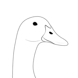 Duck Head Free Coloring Page for Kids