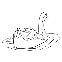 Duck In Water Free Coloring Page for Kids