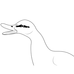 Duck Open Mouth Free Coloring Page for Kids