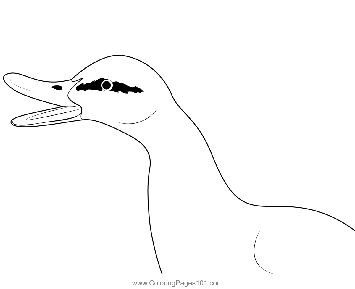 Duck Open Mouth