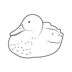 Ducks On The Riverside Free Coloring Page for Kids