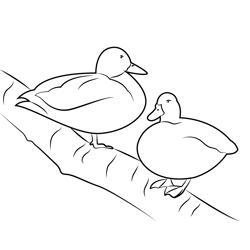 Ducks Standing On Log Free Coloring Page for Kids
