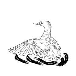 Goosander 3 Free Coloring Page for Kids