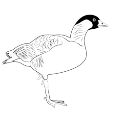 Maui Nene Bird Free Coloring Page for Kids