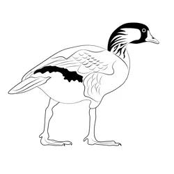 Nene Big Free Coloring Page for Kids