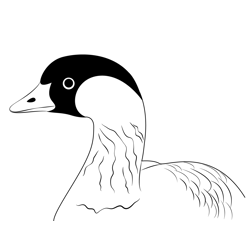 Nene Close Up Free Coloring Page for Kids