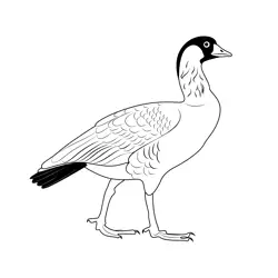 Nene Goose Free Coloring Page for Kids