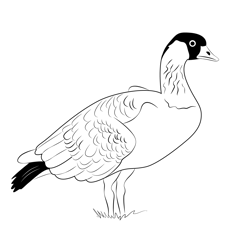 Nene Standing Free Coloring Page for Kids