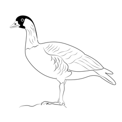 Nene Free Coloring Page for Kids