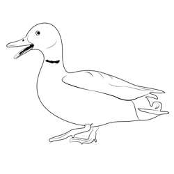 Small Duck Free Coloring Page for Kids