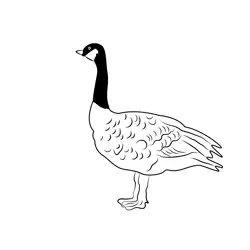 Standing Duck Free Coloring Page for Kids