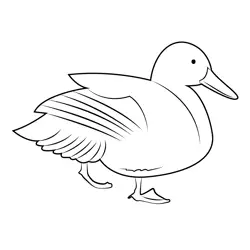 Standing Mallard Duck Free Coloring Page for Kids
