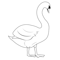 Swan Duck Free Coloring Page for Kids