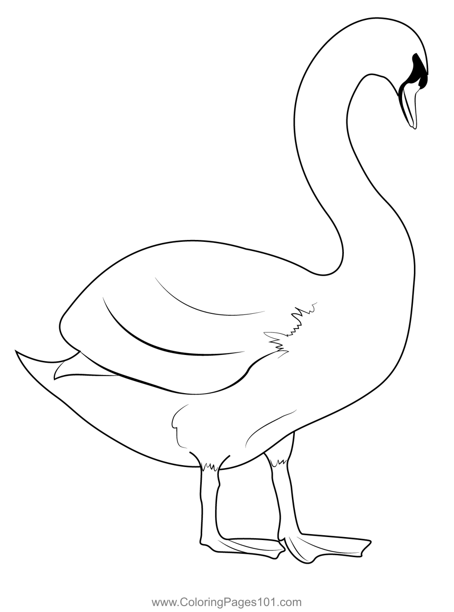 Swan Duck Coloring Page for Kids - Free Ducks Printable Coloring Pages  Online for Kids  | Coloring Pages for Kids