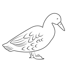 Walking Duck On Sand Free Coloring Page for Kids