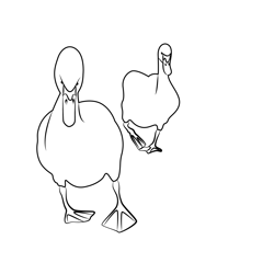 Walking Duck Free Coloring Page for Kids