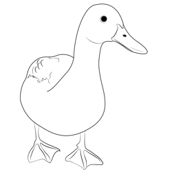 Walking Ducks Free Coloring Page for Kids