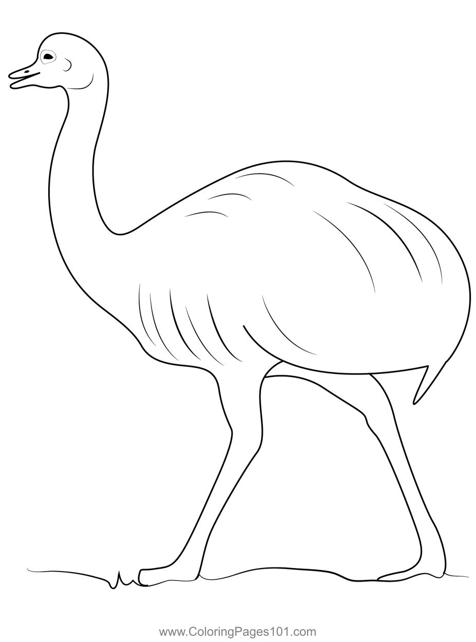Albino Emu