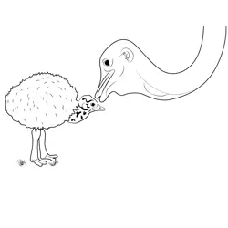 Baby And Emu Birds Free Coloring Page for Kids