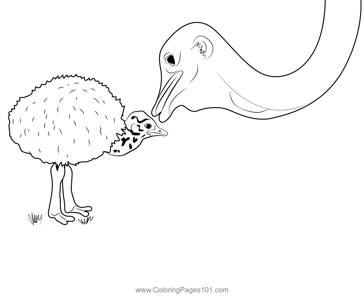 Baby And Emu Birds