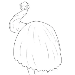 Big Birds Emu Free Coloring Page for Kids