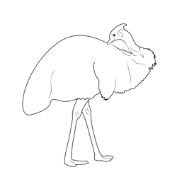 Care For Emu Bird Free Coloring Page for Kids