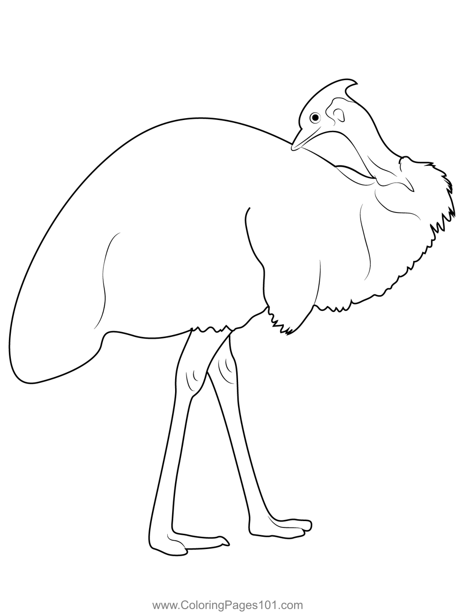 Care For Emu Bird