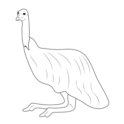 Emu 1 Free Coloring Page for Kids