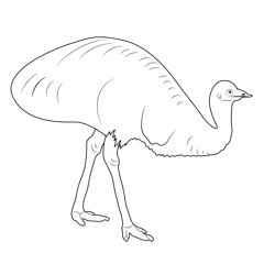 Emu Bird In Forest Free Coloring Page for Kids
