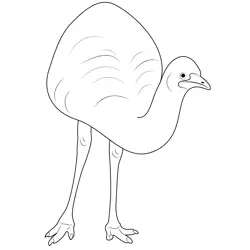 Emu Largest Bird Free Coloring Page for Kids