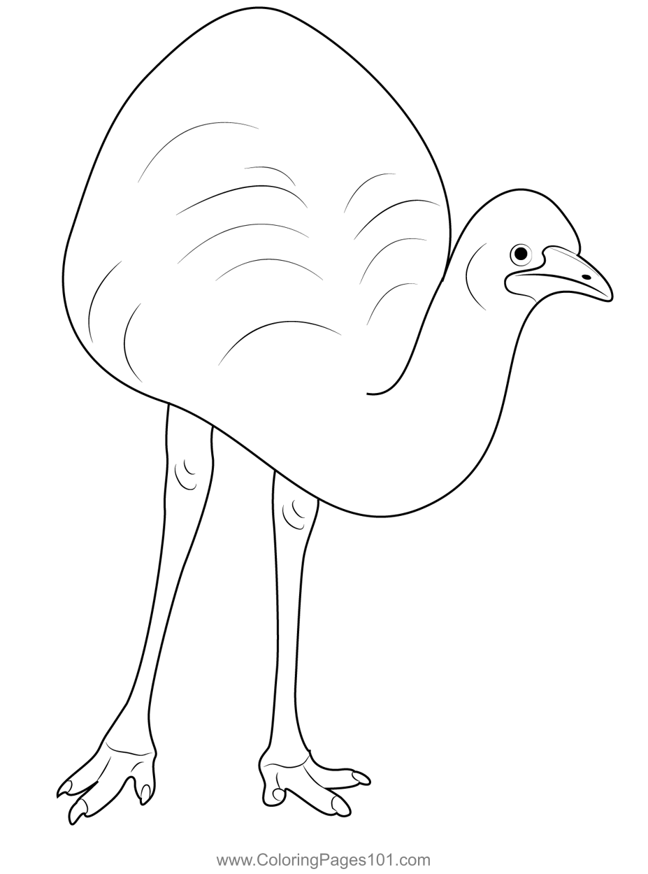 Emu Largest Bird