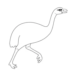 Emu Run