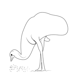 Emu Searching Food Free Coloring Page for Kids