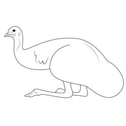 Emu Sitting Free Coloring Page for Kids