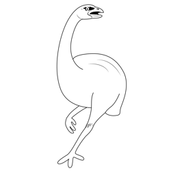 White Emu Standing Free Coloring Page for Kids