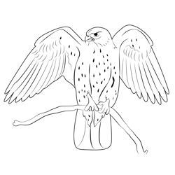 Flight Of The Gyrfalcon Free Coloring Page for Kids