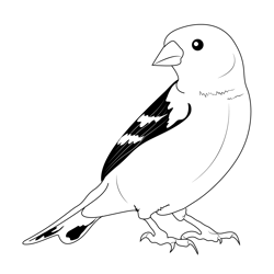 American Goldfinch 12 Free Coloring Page for Kids