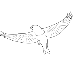 American Goldfinch Free Coloring Page for Kids