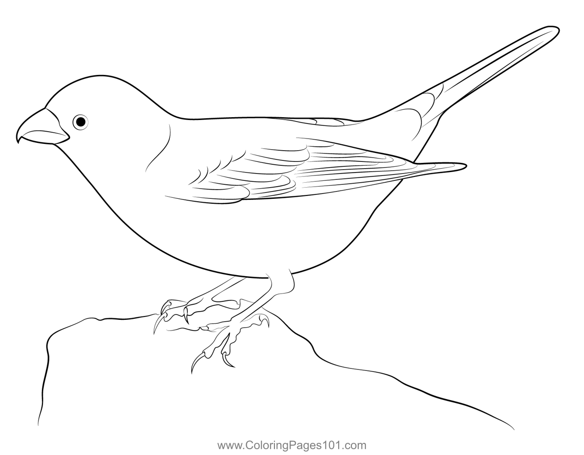 Beautiful Pine Grosbeak Coloring Page for Kids Free Finches Printable