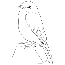 Blue Canary Free Coloring Page for Kids