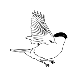 Bullfinch 1 Free Coloring Page for Kids