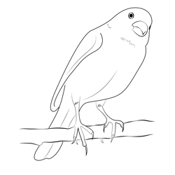 Canary Bird Cage Free Coloring Page for Kids