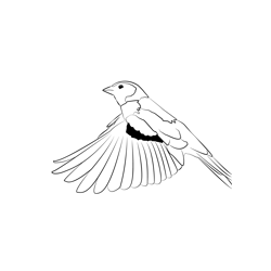 Chaffinch 6 Free Coloring Page for Kids
